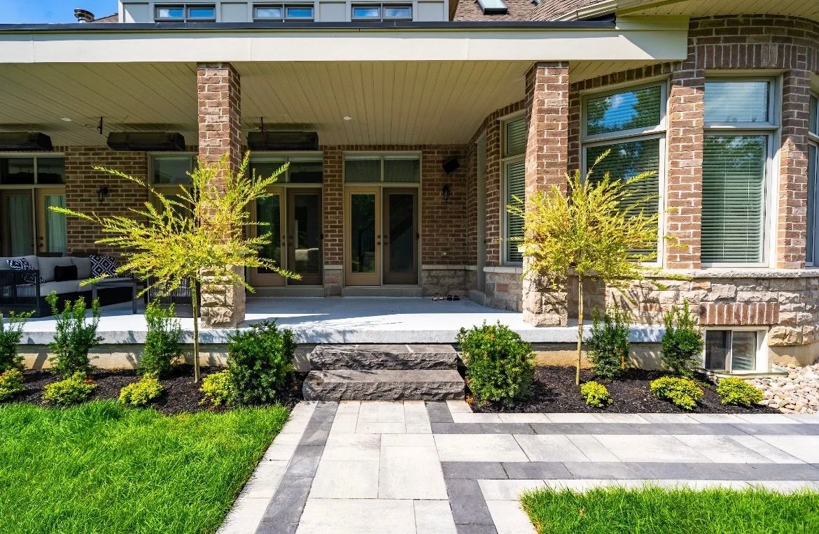 Contemporary front walk with structured shrubs and young trees