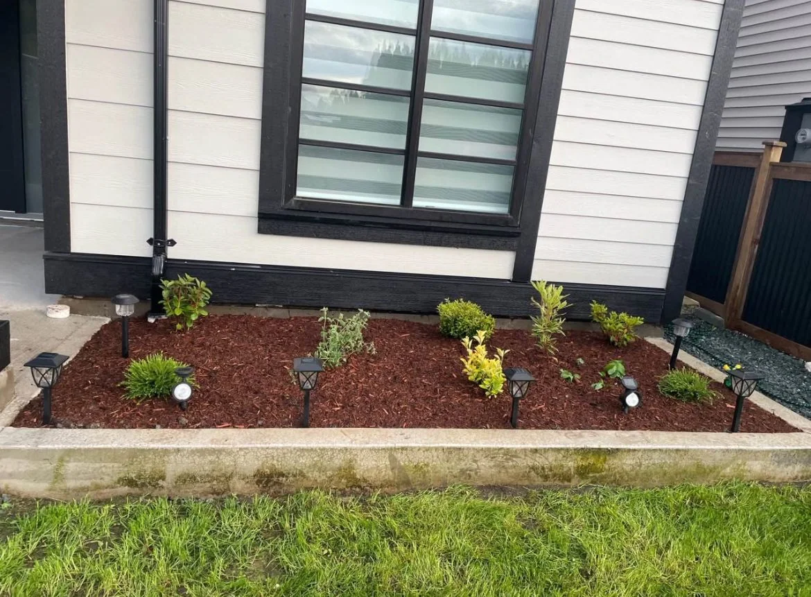 New foundation planting and landscape lights during establishment
