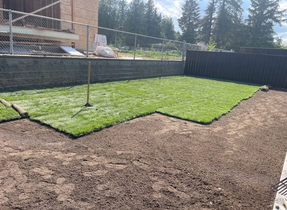 Fresh sod installation in progress across a prepared backyard