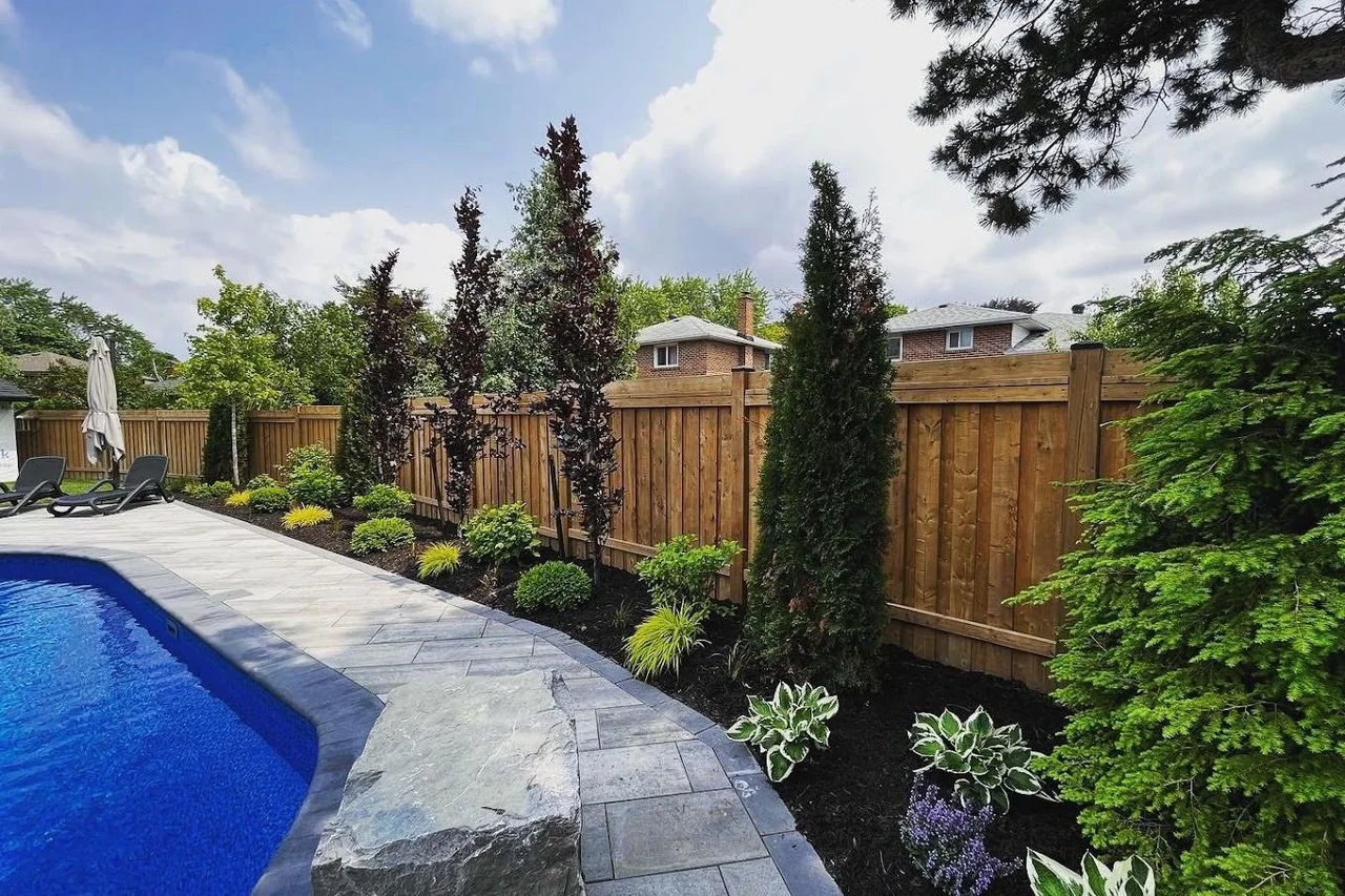 Poolside stonework and layered evergreen planting along a privacy fence