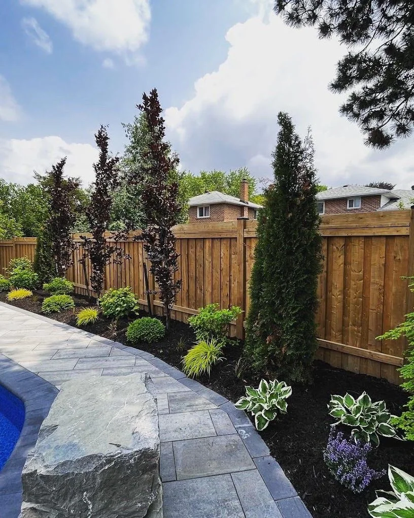 Poolside stonework and layered evergreen planting along a privacy fence