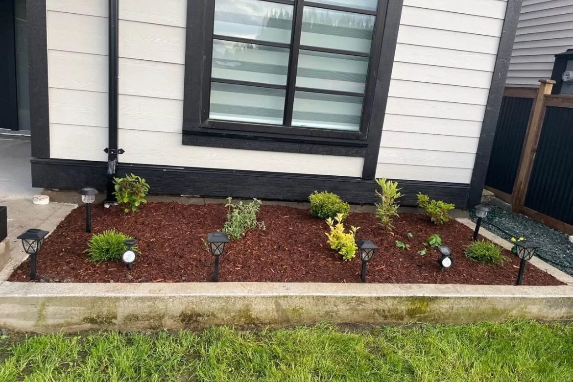 New foundation planting and landscape lights during establishment