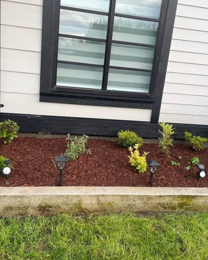 New foundation planting and landscape lights during establishment