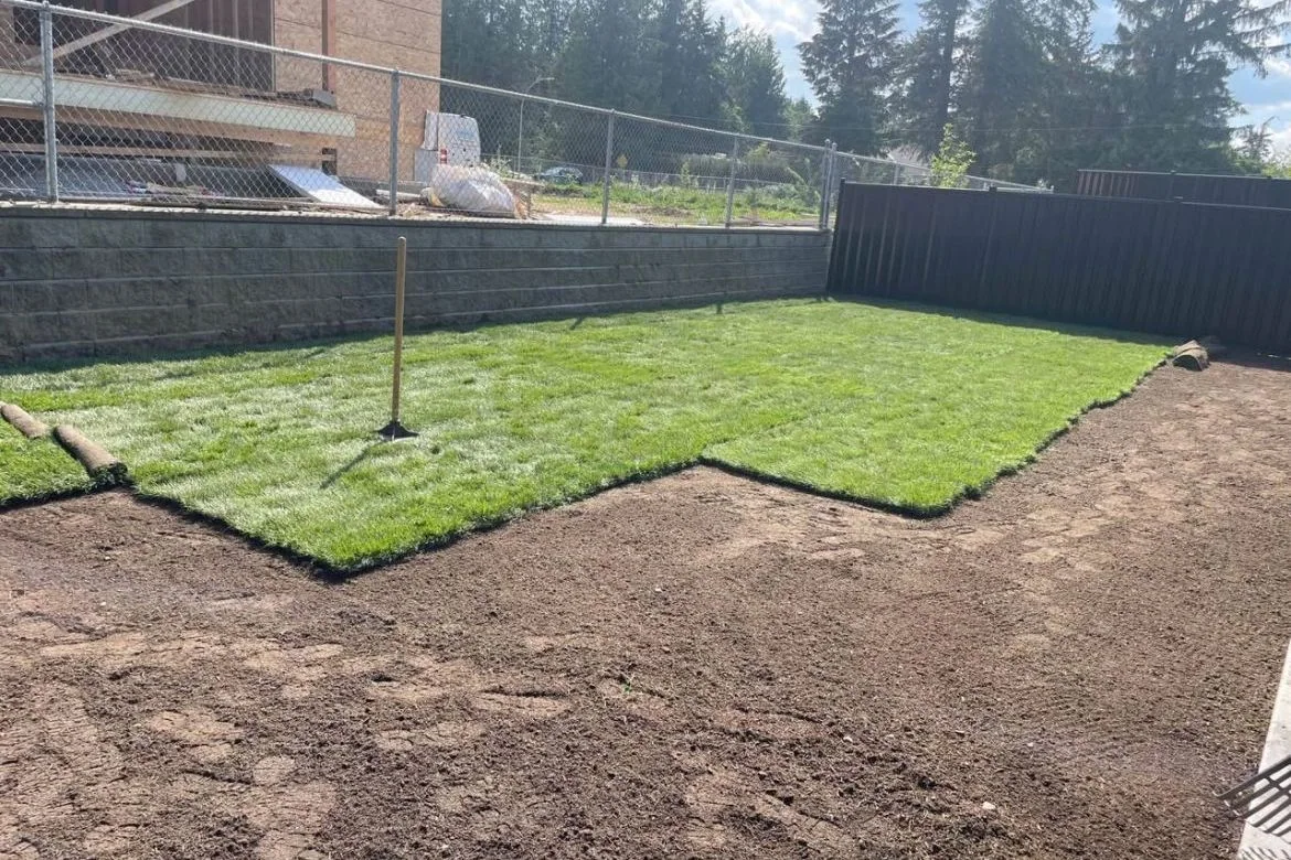 Fresh sod installation in progress across a prepared backyard
